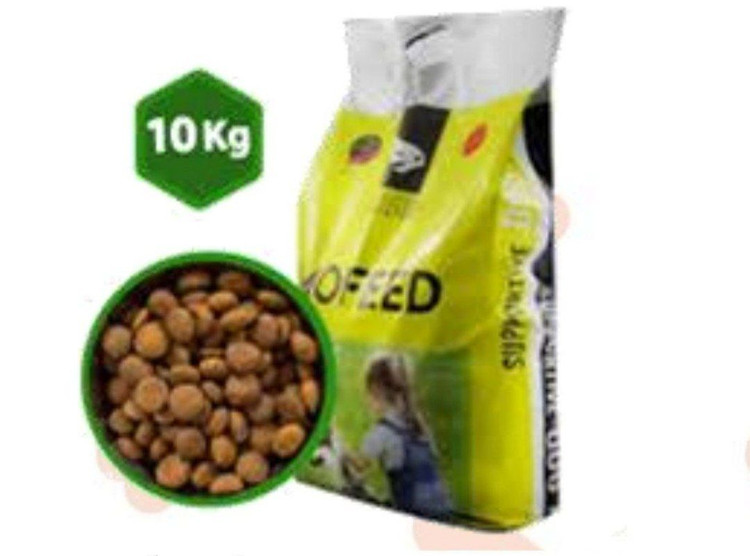 غذا حمایتی ویژه سگ