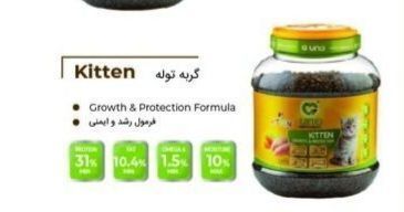 غذا گربه