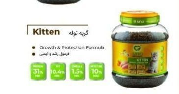 غذا گربه
