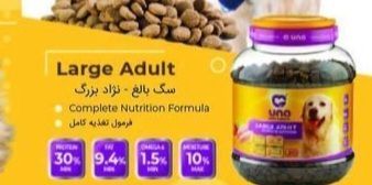 غذا سگ